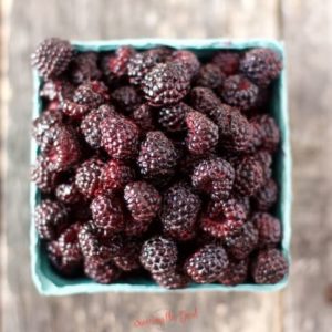 Black Raspberries