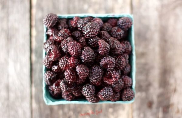 Black Raspberries