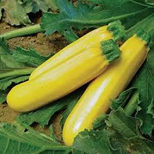 Yellow Zucchini