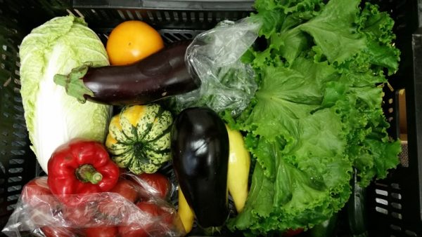 Veggie Box